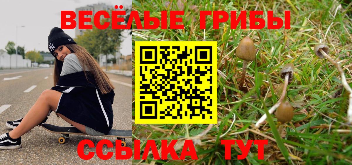 Домодедово  Псилоцибиновые грибы мицелий  Вход с VPN  Галлюциногенные грибы ЛСД 